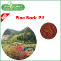 Natural Pine Bark Extract Powder Proanthocyanidins